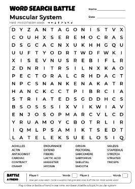 Printable Muscular System Word Search Preview