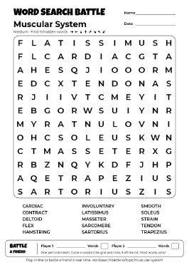 Printable Muscular System Word Search