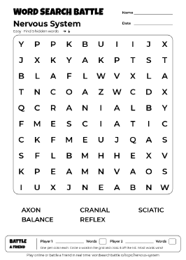 Printable Nervous System Word Search