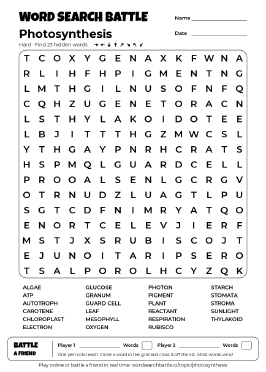 Printable Photosynthesis Word Search Preview