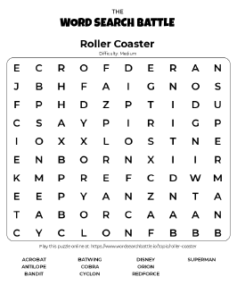 Printable Roller Coaster Word Search Preview