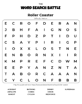 Printable Roller Coaster Word Search